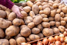 Ограничение на продажу картофеля сняли в Астане