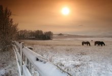 Мертвым найден 27-летний житель Костаная