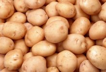 Запрет на вывоз картофеля из Казахстана вступил в силу