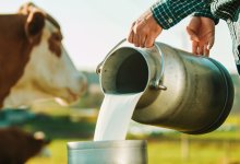 Казахстанские села вымирают – мажилисмен