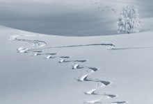 О погоде в Казахстане на 2 февраля рассказали синоптики