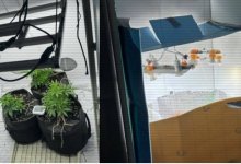 Полгода готовили запрещенное зелье в трех регионах Казахстана