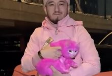 Блогер покрасил кошку в розовый цвет ради привлечения подписчиков (ВИДЕО)