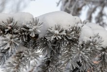 Снег, метель и усиление ветра ожидаются в Астане