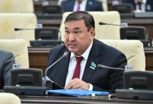 Мажилисмен Балабиев предложил уменьшить размеры штрафов для детсадов