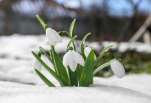 Приближение весны почувствуют жители Казахстана