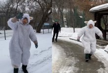 Из Алматинского зоопарка "сбежало" животное