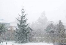 Штормовое предупреждение объявили в Алматы, Шымкенте и 12 областях