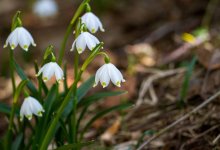До плюс 15 градусов потеплеет на юге Казахстана