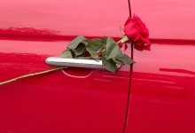 Обклеенный лепестками роз автомобиль попал на видео в Шымкенте