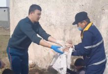 Женщина родила в туалете и упала в обморок