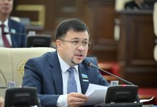 Ввести возрастные ограничения на использование соцсетей для детей предложили в Казахстане