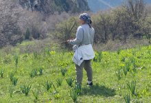 Правительство утвердило план развития Щучинско-Боровской курортной зоны до 2029 года