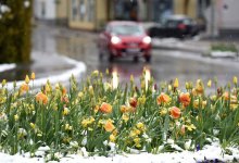 Какой будет погода в Казахстане в праздничные дни