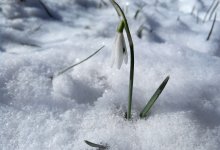 Весна врывается в Алматы: погода 10–12 марта