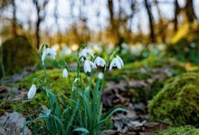 Алматинцев ждет потепление до плюс 13 градусов