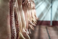 Мясо сомнительного происхождения попало в магазины и рестораны Астаны