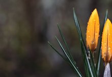 Тепло на юге, прохлада в столице: каким будет уикенд в Казахстане