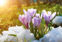 Плюс 10 градусов обещают жителям Астаны