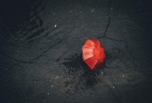 Жителей Алматы предупредили о сильных ливнях