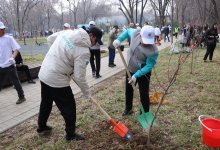 Алматинцы вышли на масштабную уборку города в День чистоты – Тазару күні