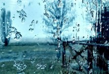 От метели до пыльной бури: синоптики рассказали о погоде на 25 марта