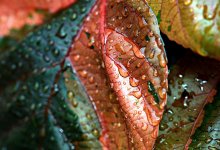 Какая погода будет в Казахстане 27 марта в Казахстане