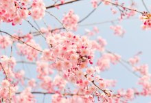 Погода в Алматы на выходные: ждать ли потепления