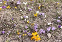 Какая погода ждет алматинцев 1 апреля