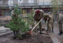 80-летие Победы: министр обороны дал старт посадке деревьев