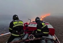 Пылающий лес в области Абай: МЧС опубликовало видео с места пожара