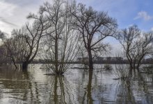 Паводок унес жизнь водителя в Акмолинской области