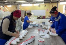 Единственный завод по производству антифриза в Казахстане посетили студенты