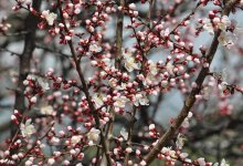 До 24 градусов потеплеет в Астане