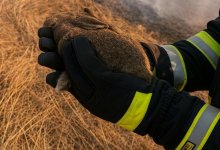 В МЧС рассказали, как сжигание сухой травы может стоить жизни маленьких зайчат