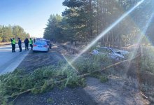 Водитель скончался на месте ДТП в области Абай