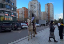 Всадник с поварешкой шокировал астанчан