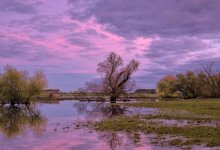 Паводки в Казахстане: вода прибывает в СКО