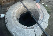Собака три года не может выбраться из-под земли