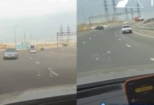Алматинца лишили свободы за грубое нарушение ПДД