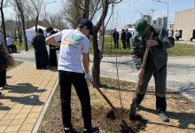 “Таза Қазақстан”: в Карагандинской области активно продолжается озеленение
