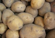 Дешевый картофель в Петропавловске не дошел до прилавков
