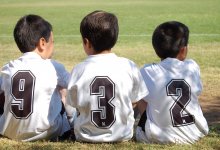 Запись в кружки через Damubala.kz незаконно приостановлена в Кокшетау