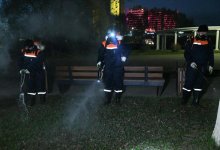 Полномасштабные дезинсекционные работы против комаров начались в Астане