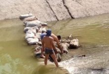 Дамбу из останков животных соорудили в Самарканде