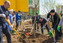 “Бірлік ағашы”: аманатовцы отметили очисткой улиц и памятников День единства народа Казахстана