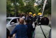 Кота спасли под аплодисменты в Алматы