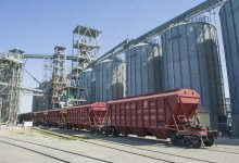 Экспорт зерна нового урожая достиг 7,6 млн тонн: рост на 58%