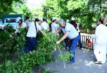 Акция “Таза бейсенбі” превращается в массовое движение за чистую и комфортную среду