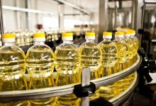 Растительное "золото" Казахстана рвется на экспорт